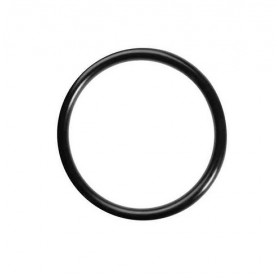 GUMICA DIHTUNG O-RING 04112 VITON BIANCHI 36211816