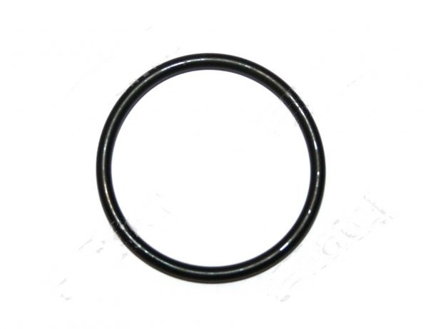 GUMICA DIHTUNG O-RING ORM 0320-25 NBR SAECO NM03.012