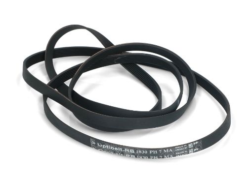 Slika REMEN 1830 H7 116LG284 DAYCO CRNI
