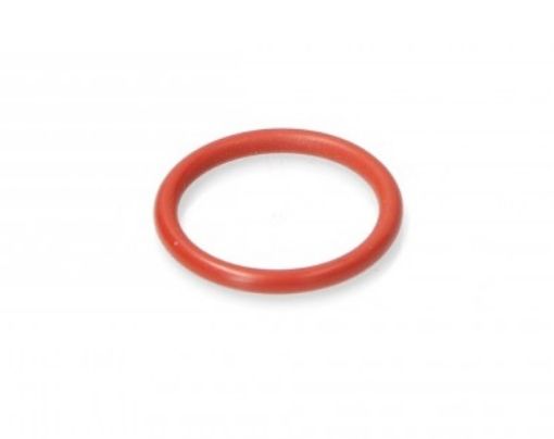 Slika GUMICA DIHTUNG ORM BIANCHI 43021216