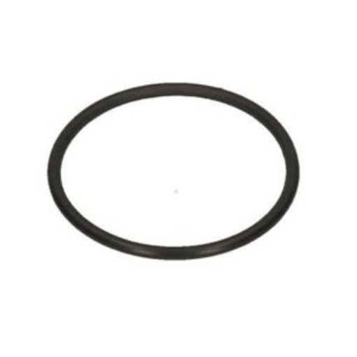 Slika GUMICA DIHTUNG O-RING 2118 VITON BIANCHI 36363116